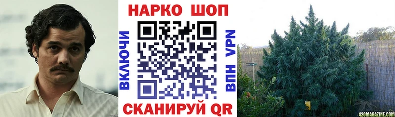 A-PVP Александровск-Сахалинский