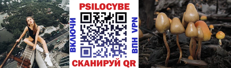 Псилоцибиновые грибы GOLDEN TEACHER  цена наркотик  Александровск-Сахалинский 